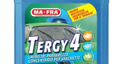 MA-FRA TERGY 4: per una pulizia efficace del parabrezza dell’auto 2