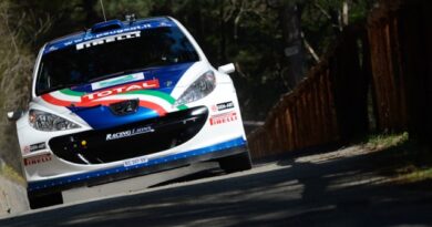 Rally del Ciocco 2012: Peugeot e Andreucci, successo all’esordio 5