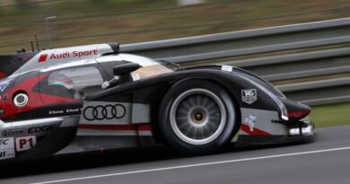 24 Ore di Le Mans 2012: Audi e Michelin in Pole 8