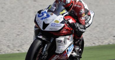 Pneumatici Metzeler, Top performance nel Motorsport 2012 2