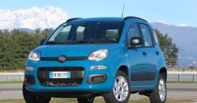 Fiat Panda EasyPower GPL - Benzina 12