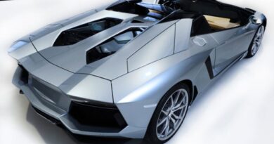 Lamborghini Aventador LP 700-4 Roadster 9