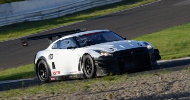 Nissan GT-R Nismo GT3 2013 15