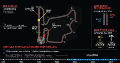 F1: Il Gran Premio d’Ungheria dal punto di vista delle Gomme [VIDEO] 4