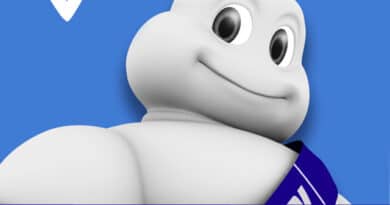 Michelin Mobility Apps: Via Michelin in APP Smartphone 2020 6